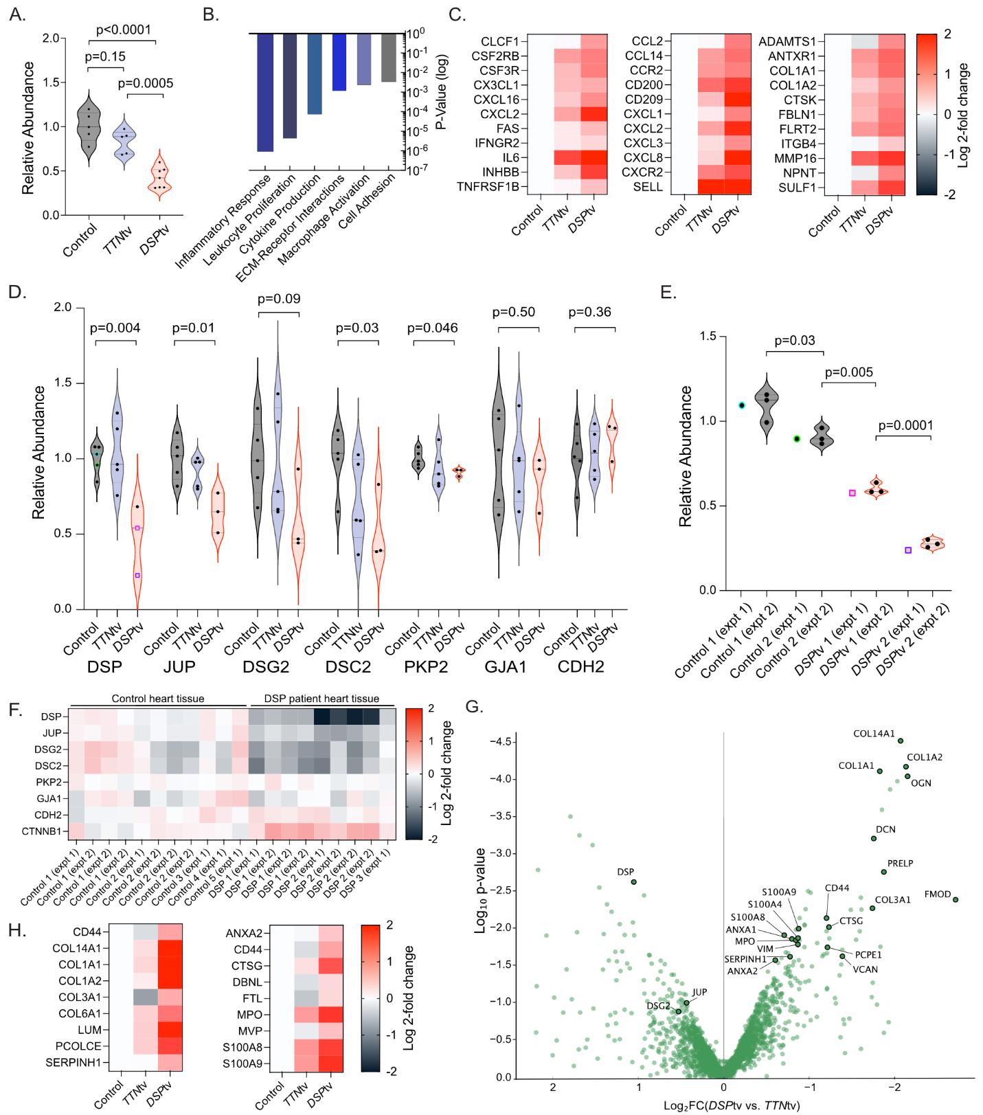 基因编译对心肌细胞黏附活性的影响